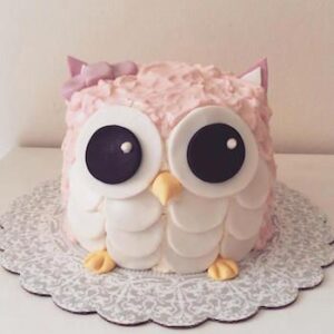 Sweet Pink Owl Cake