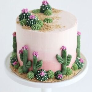 Desert Blooms Ombré Cake