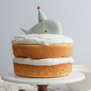 Whimsical Whale Naked Layer Cake