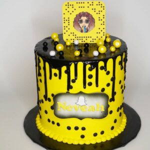 Snapchat Drip Cake